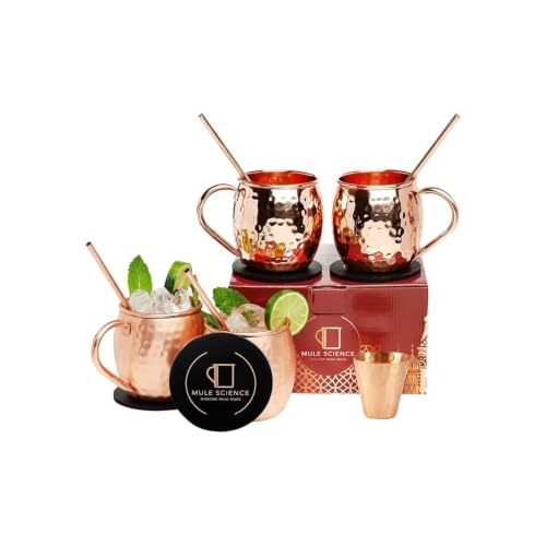 Copper Moscow Mule Mug Set of 4 - 19 oz Hand-Hammered Copper Barware with Reusable Straws, Jigger & Coasters