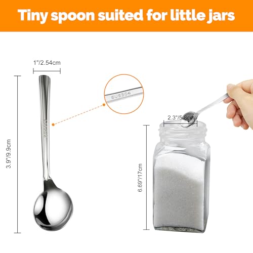 Mini Stainless Steel Spoons Set of 6 - 3.93" Tiny Spice Spoons