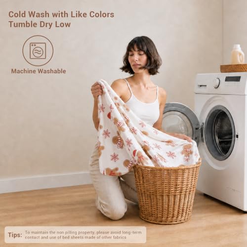 Lasoftan Christmas Cotton Flannel Sheets Full Size - Gingerbread Snowflake Pattern