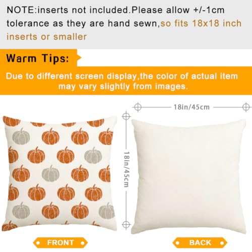 RABUSOFA 18x18 Pumpkin Pillow Covers - Set of 2 for Fall Decor