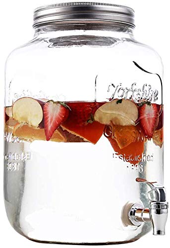 VitaLifePower Silver Replacement Spigot for Beverage Dispenser