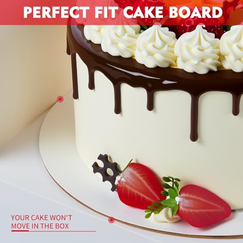 Disposable Cake Boxes - 3 Pack, 10x10x5 Inch with Clear Window