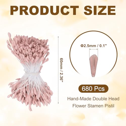 Dark Pink Double-Head Flower Stamen Pistil 2.5mm 680pcs for DIY Crafts & Decorations