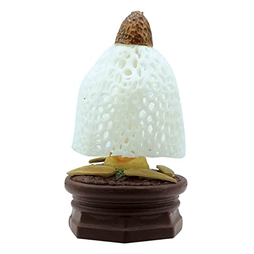 Qualia Tokyo Mushroom Garden Blind Box - Collectible Miniature Figurine