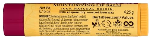 Burt's Bees Agua Fresca Moisturizing Lip Balm, 0.15 Oz