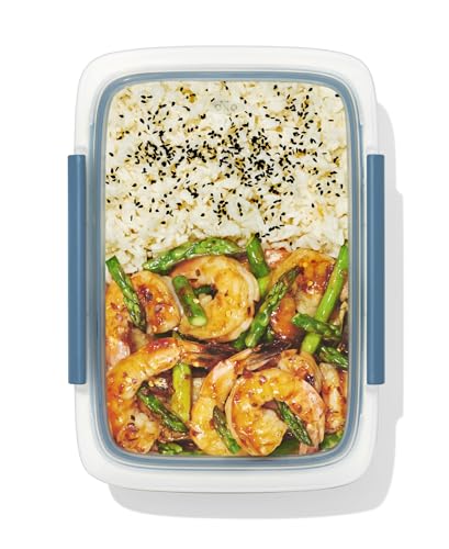 OXO Good Grips 5-Cup Leakproof Food Storage Container - Ocean Blue