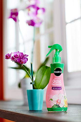 Miracle-Gro All Purpose Water Soluble Plant Food Mist 8oz Pack of 6 for Orchids