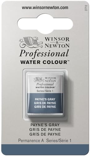 Winsor & Newton Professional Watercolor Half Pan - Payne's Gray
