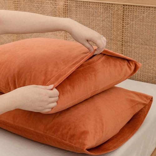 GRSECPO Microfiber Pillow Covers, 20x26 Inch, Orange, Pack of 2