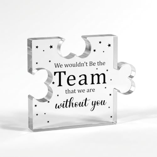 Acrylic Puzzle Plaque - Appreciation Gift for Bosses & Teachers