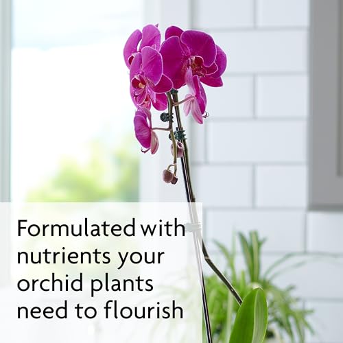 Miracle-Gro Orchid Plant Food Spikes, 2-Pack (20 Total Spikes)
