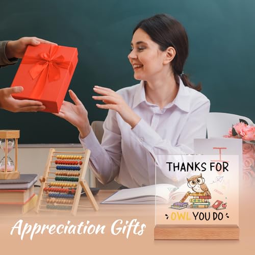 Teacher Appreciation Gift Owl Acrylic Desk Plaque - Meaningful Present