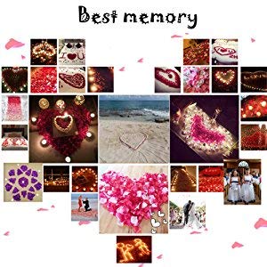 1000pcs Artificial Silk Rose Petals for Weddings & Events
