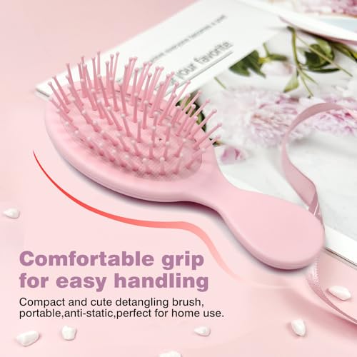 Zoolinn Mini Detangling Hair Brush 2-Pack Travel-Sized Pink Hairbrush