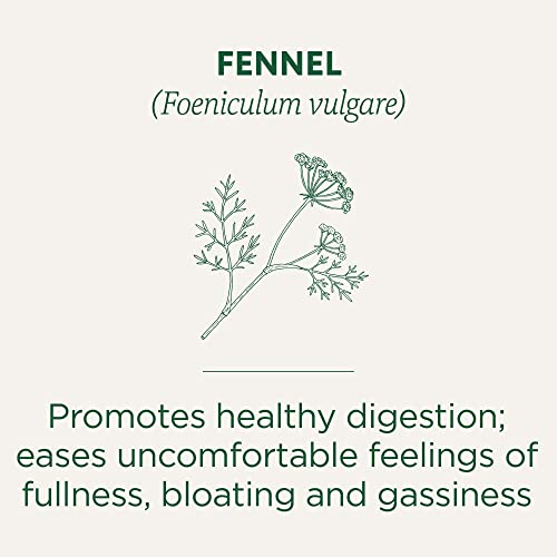 Traditional Medicinals Organic Fennel Tea - Digestive Support, 16 Tea Bags