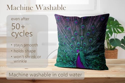 18x18 Inches Purple and Teal Peacock Pillow Cover - Double-Sided Printed Cushion Case, Pack of 1