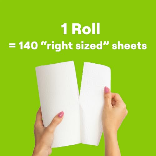 Seventh Generation 2-Ply Recycled Paper Towels, 2-Roll Pack