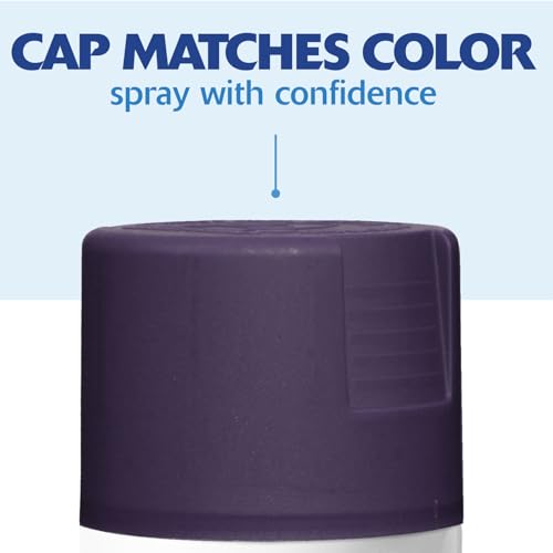 Rust-Oleum Painter's Touch 2X Satin Deep Purple Spray Paint - 6 Pack
