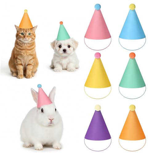 6 Mini Party Hats for Small Pets - Vibrant Birthday Cone Hats