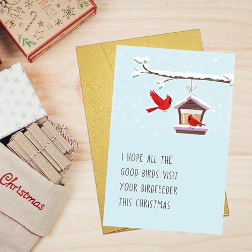 Funny Bird Feeder Christmas Card for Bird Lovers with Envelope