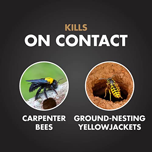 Spectracide Carpenter Bee & Yellowjacket Killer Foaming Aerosol - 16 Oz, 12 Pack