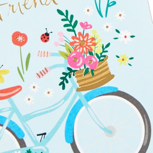 Hallmark Assorted Birthday Cards for Her - French Bulldog, Cactus, Bicycle, Ice Cream - 16 Pack