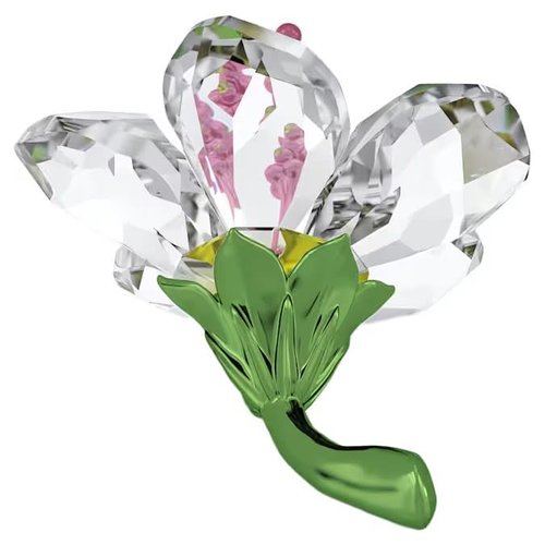 Swarovski Small Florere Hibiscus