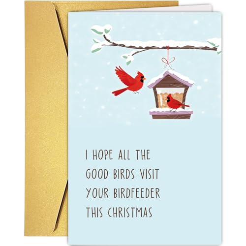 Funny Bird Feeder Christmas Card for Bird Lovers with Envelope