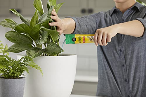 Miracle-Gro Pour & Feed Singles Plant Food, 2 oz Ready-to-Use Fertilizer