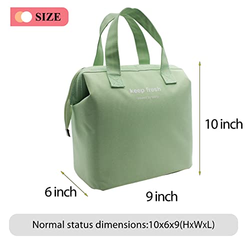 Insulated Lunch Bag for Women & Men - Stylish Green Bento Tote
