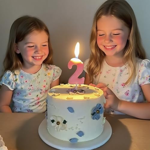 Himomys Pink Flamingo Number 2 Birthday Candle for 2nd Birthday Cake
