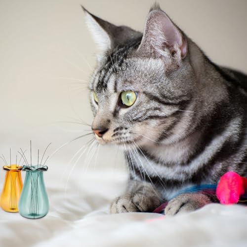 Andibro Cat Whisker Vase Set - Mini Glass Vases for Keepsakes