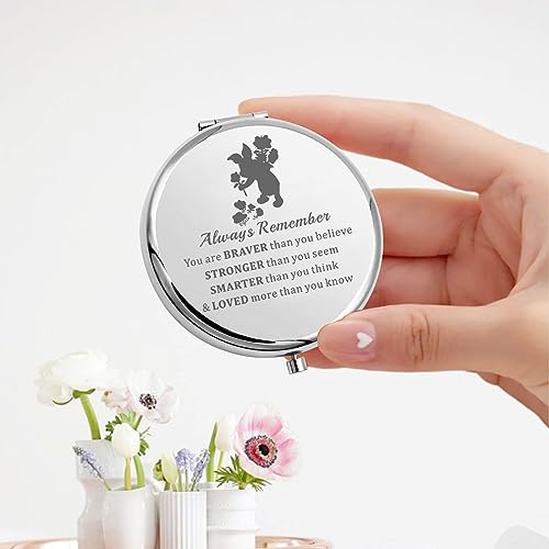 KEYCHIN Pig Compact Pocket Mirror - Pink Pig Design, 2.55-inch - Pig M-S