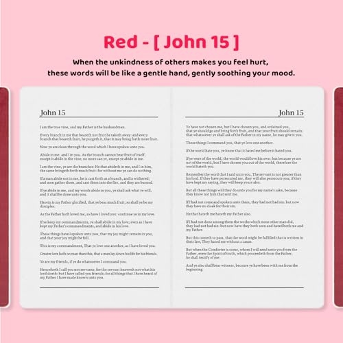 Katatdes Red Bible Pillow Book Plush Decorative Throw Pillow for Home & Christmas