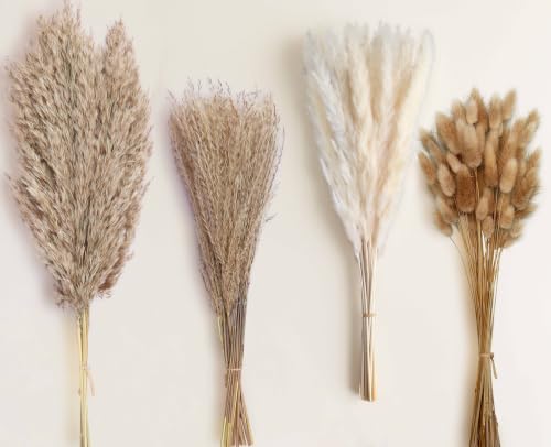 Dried Pampas Grass Bundle - 100 Stems for Boho Decor & Floral Arrangements