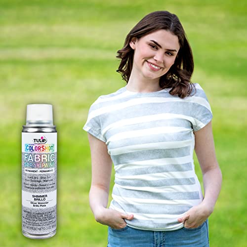 Tulip ColorShot Instant Fabric Spray Paint - 3oz Silver Shimmer