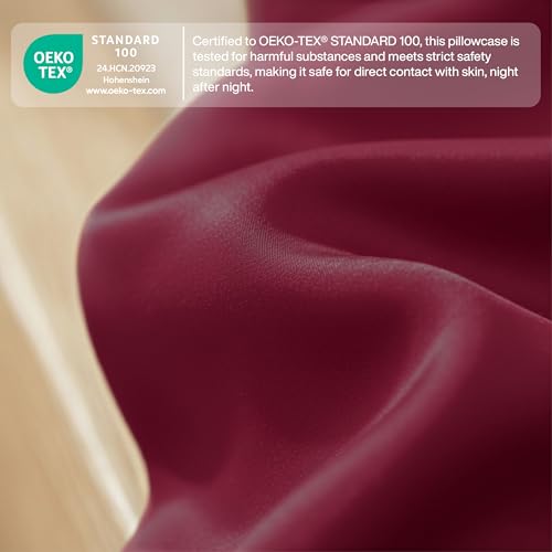 QUEENSBAY Queen Pillowcases, Set of 2 Soft Microfiber Covers, Burgundy