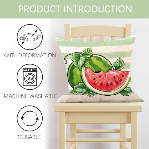 Summer Watermelon Throw Pillow Covers Set of 4 - 16x16 Cotton Linen