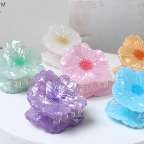 Cuizhiyu Mini Flower Hair Claw Clips Acrylic Beach Hair Accessories 6PK