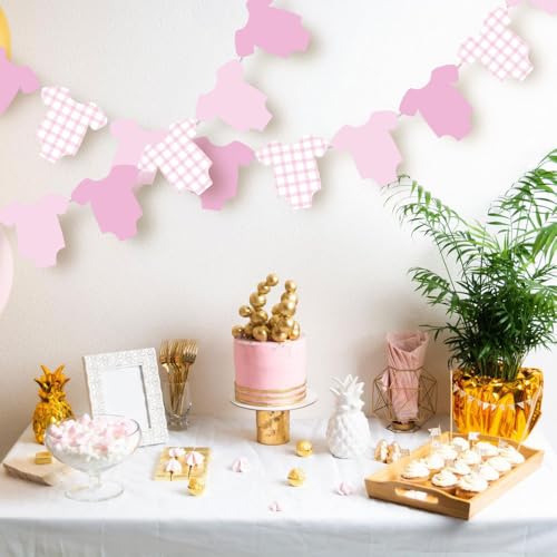 Pink Gingham Bodysuit Banner - 12 Piece Baby Shower Decoration