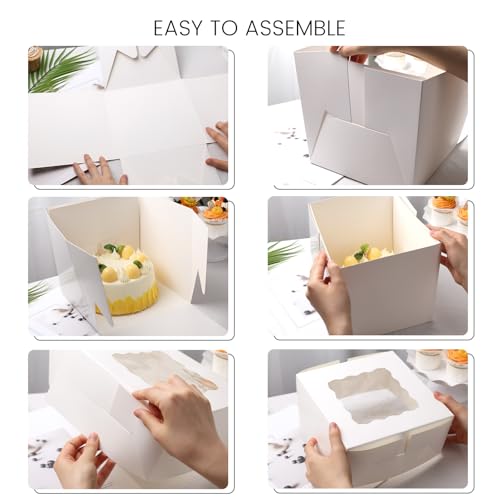 VGOODALL 2 Pack 8x8x8 Inch White Cake Boxes with Window