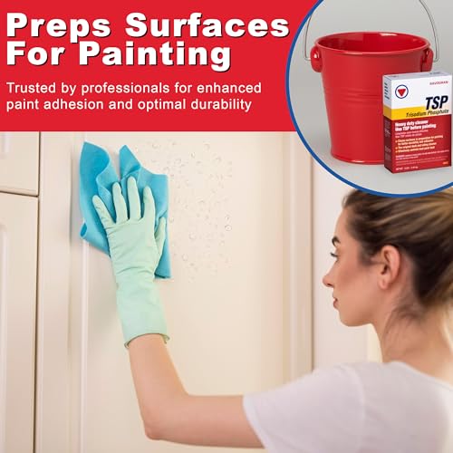 Savogran 10621 Trisodium Phosphate (TSP) 16oz Heavy-Duty Multi-Purpose Cleaner