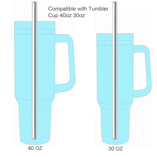 Reusable Stainless Steel Straws Set of 4 with Cleaning Brushes