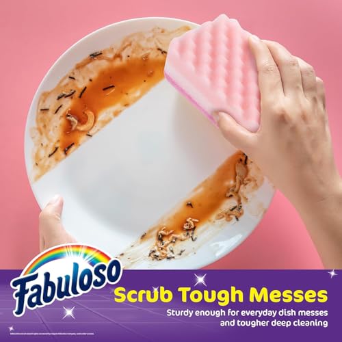 Fabuloso Scratch-Free Kitchen Dish Sponges, Rainbow, 12-Pack (6 Count, 2-Pack)