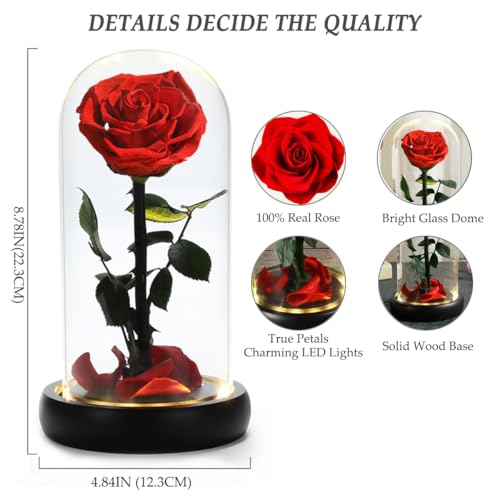 LED Preserved Rose Flower Gift - Christmas Rose with Warm Lights, Glass Dome, Forever Flowers for Women