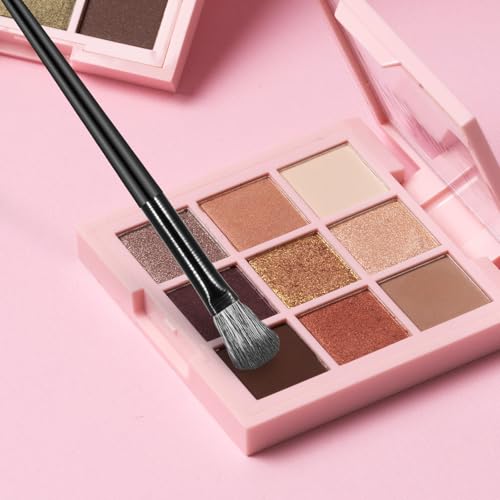 10 Pcs Professional Eye Makeup Brush Set - Synthetic Blending & Eyeliner