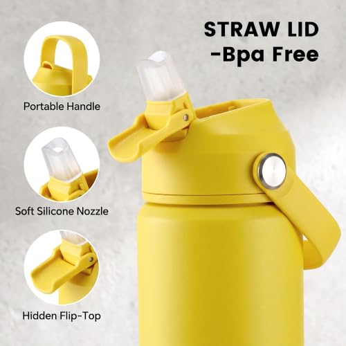 Fijinhom 18oz Insulated Stainless Steel Water Bottle with Straw