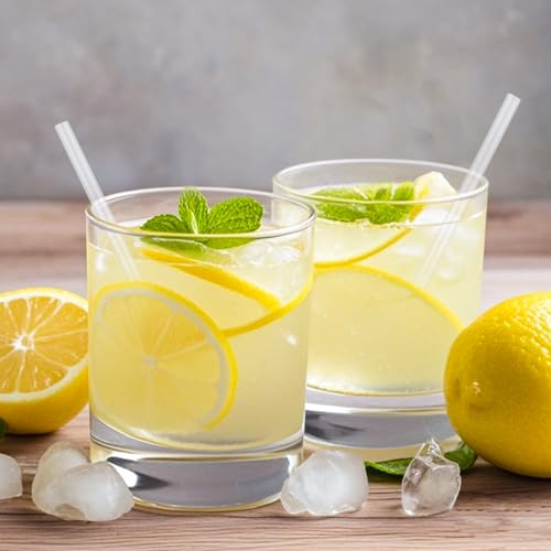 500 Pcs Clear Cocktail Straws - 5 Inch Short Bar Straws
