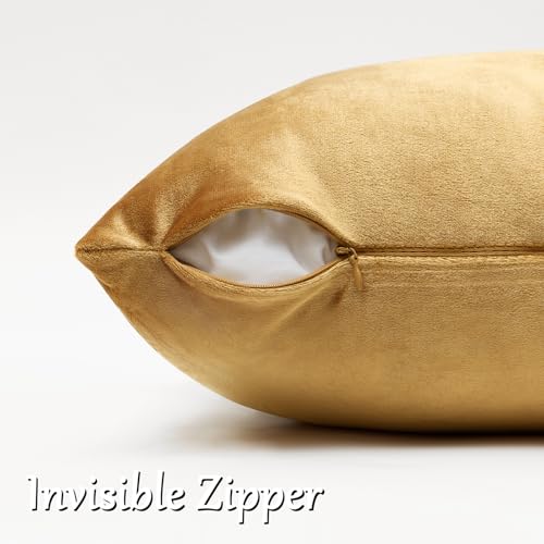 GIGIZAZA Golden Velvet Pillow Covers 18x18 - Pack of 2 Decorative Cushions