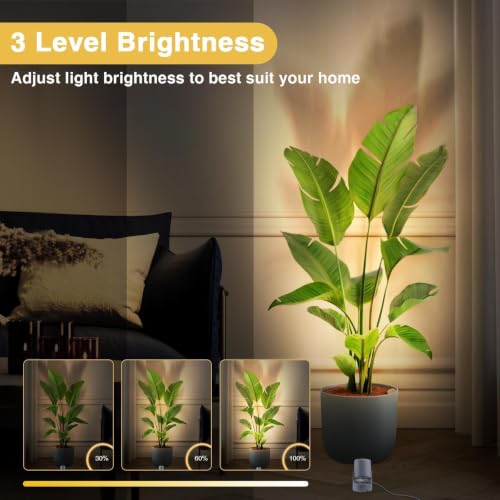 URTOM 4 Pack Indoor RGBW Uplighting Spotlights with Remote, Dimmable LED Christmas Lights